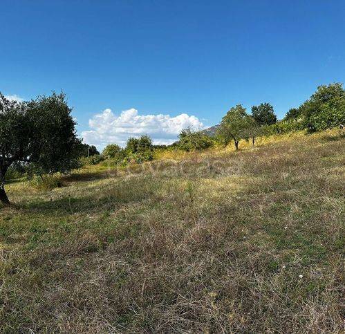 immagine annuncio 9 di 14