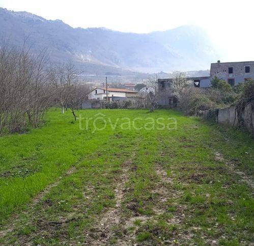 immagine annuncio 6 di 14