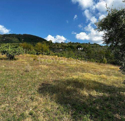 immagine annuncio 10 di 14