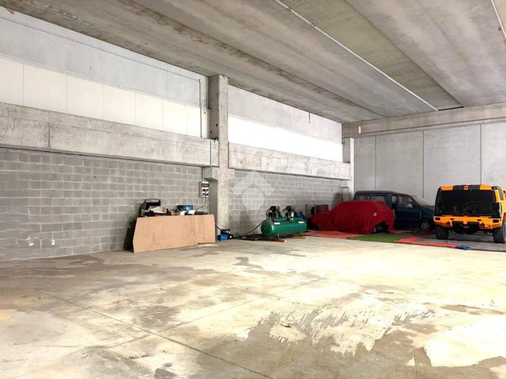 immagine annuncio 6 di 15