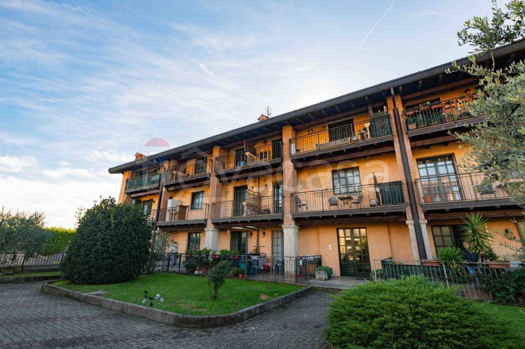 immagine annuncio 14 di 15