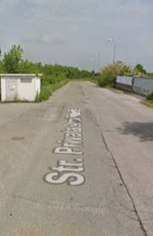 immagine annuncio 8 di 11