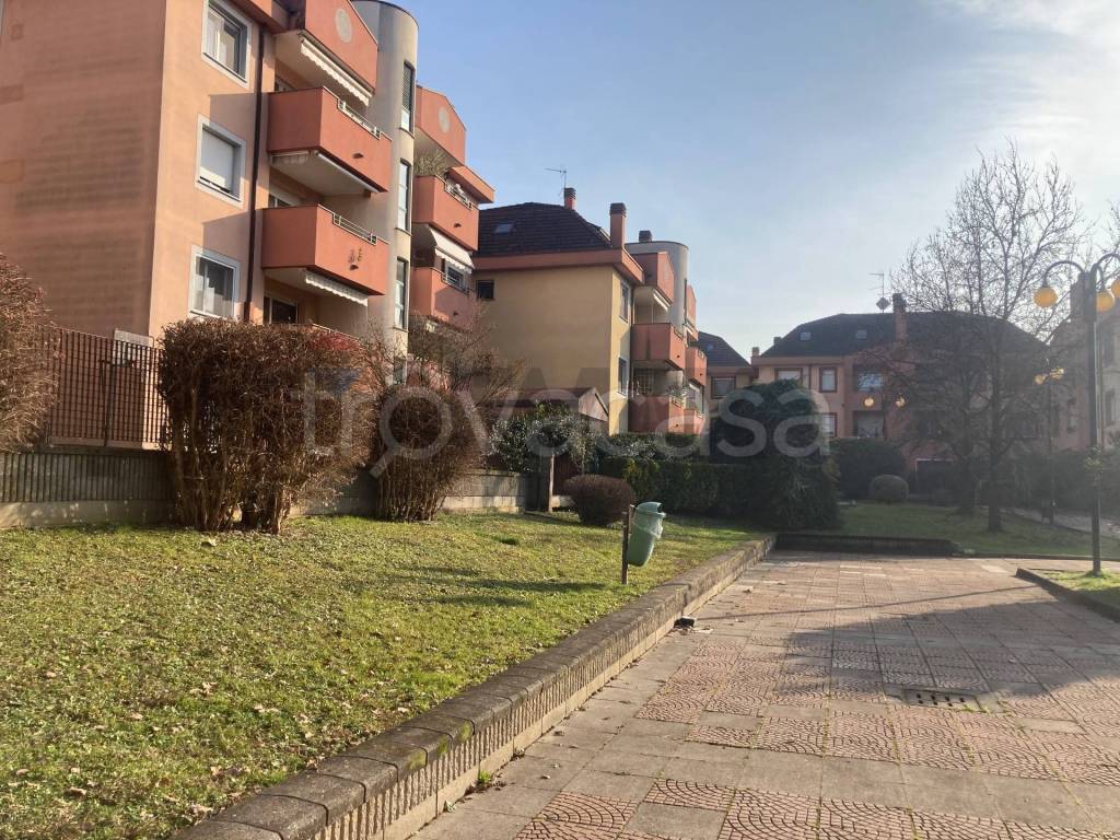 immagine annuncio 13 di 15