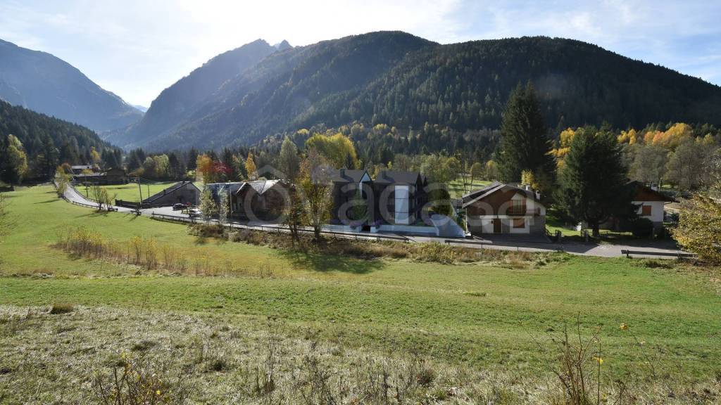 immagine annuncio 4 di 13