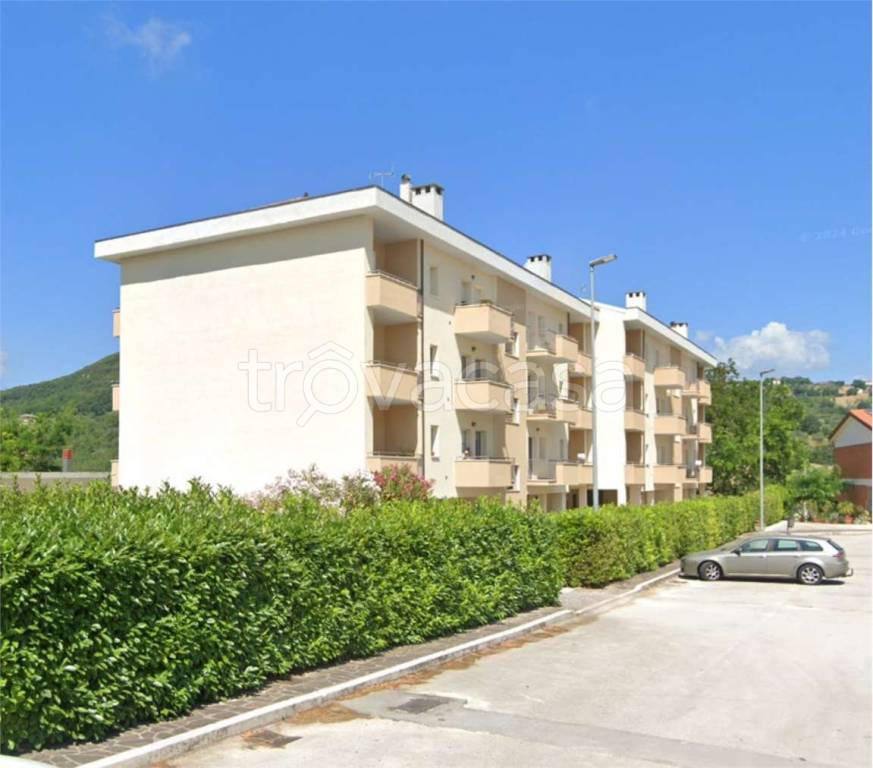 immagine annuncio 5 di 12