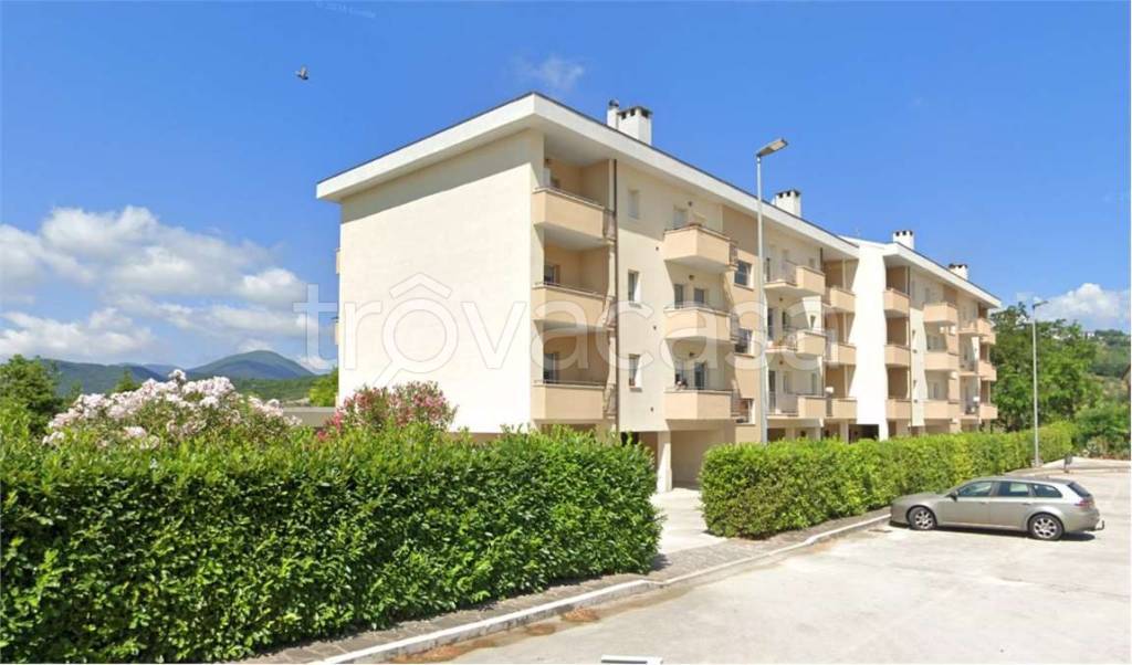 immagine annuncio 11 di 12