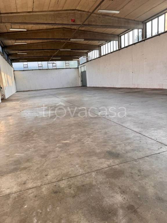 immagine annuncio 2 di 8