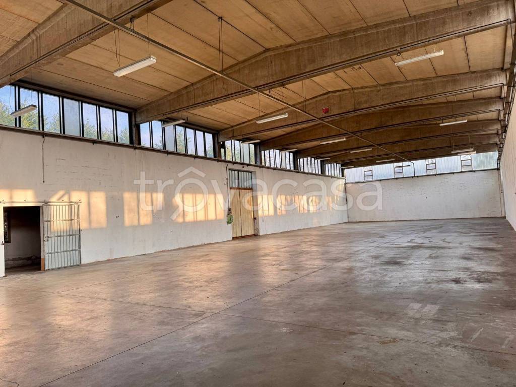 immagine annuncio 7 di 8