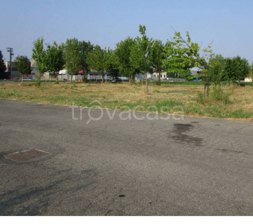 immagine annuncio 7 di 12