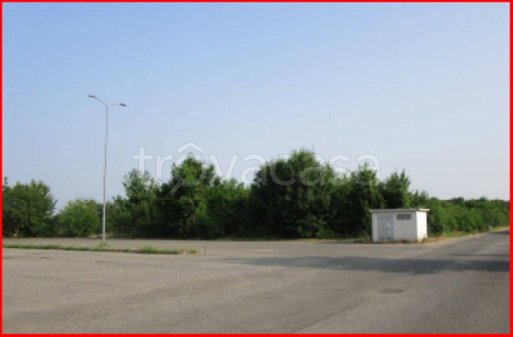 immagine annuncio 6 di 13