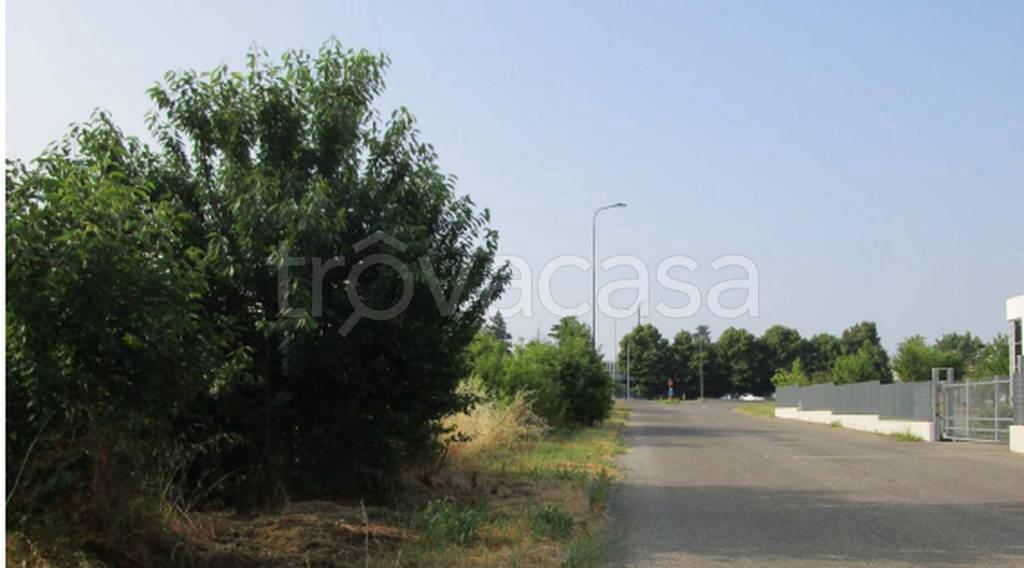 immagine annuncio 11 di 12