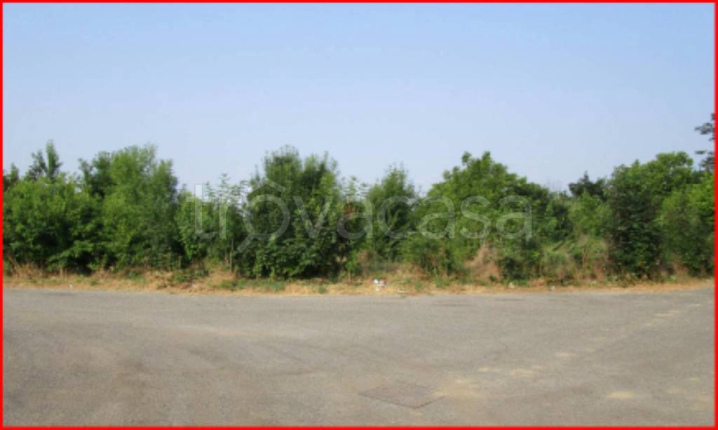 immagine annuncio 11 di 13