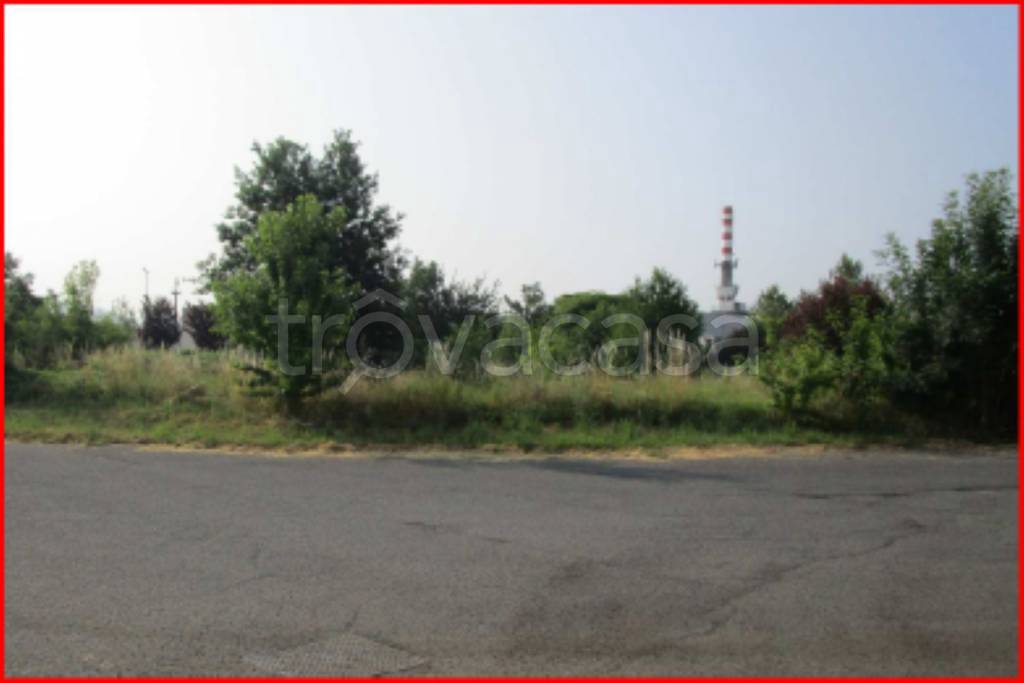 immagine annuncio 12 di 13