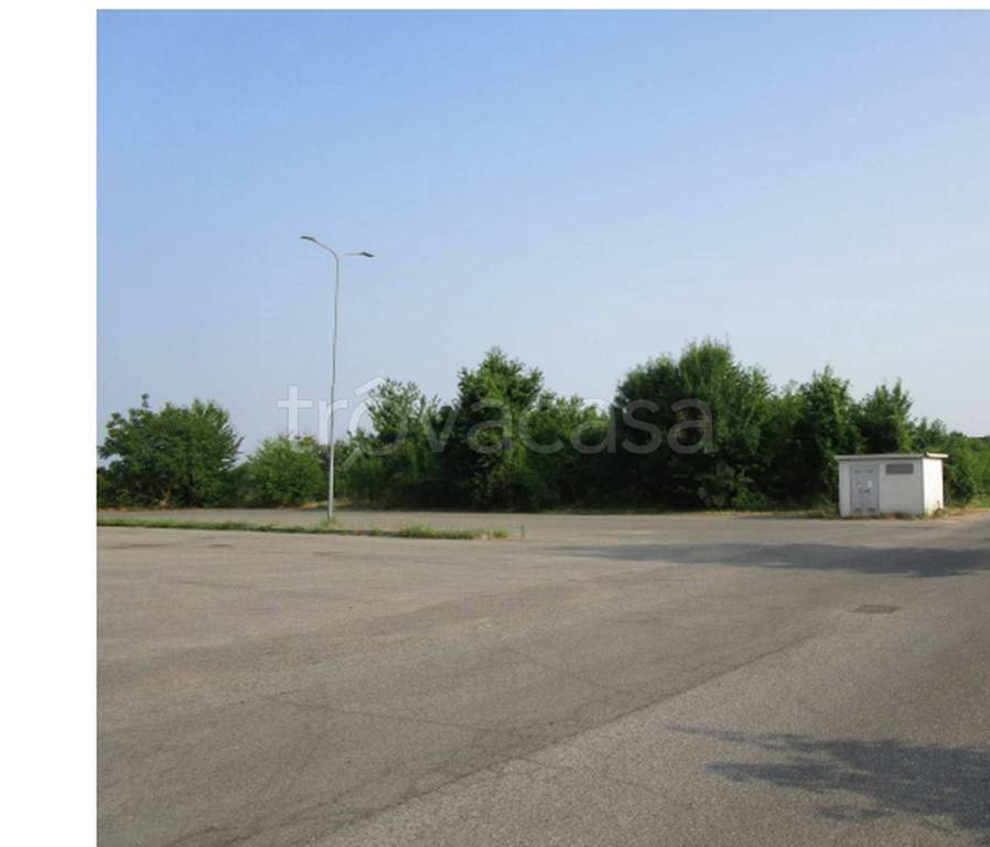 immagine annuncio 4 di 11