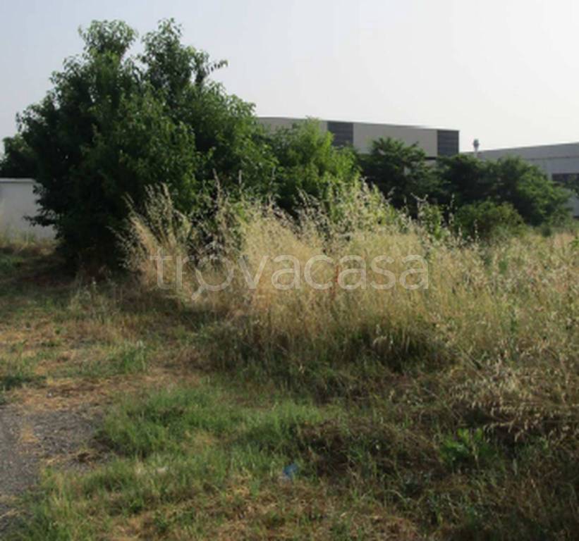 immagine annuncio 8 di 11