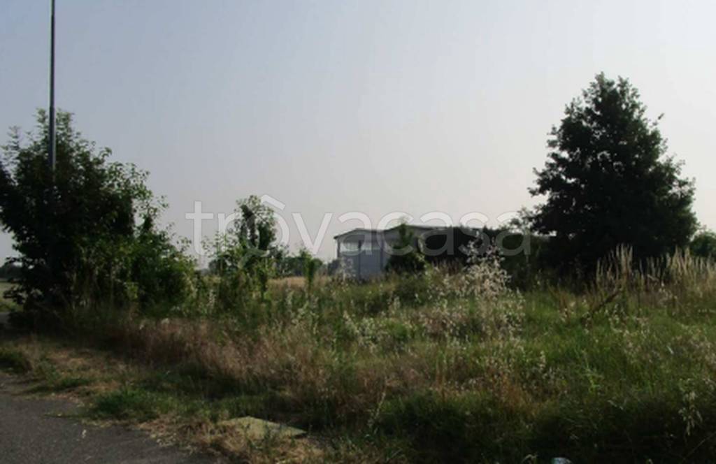 immagine annuncio 10 di 11