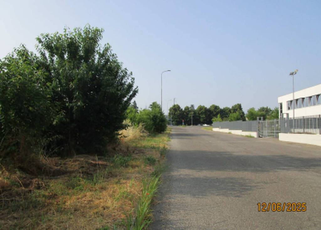 immagine annuncio 2 di 12