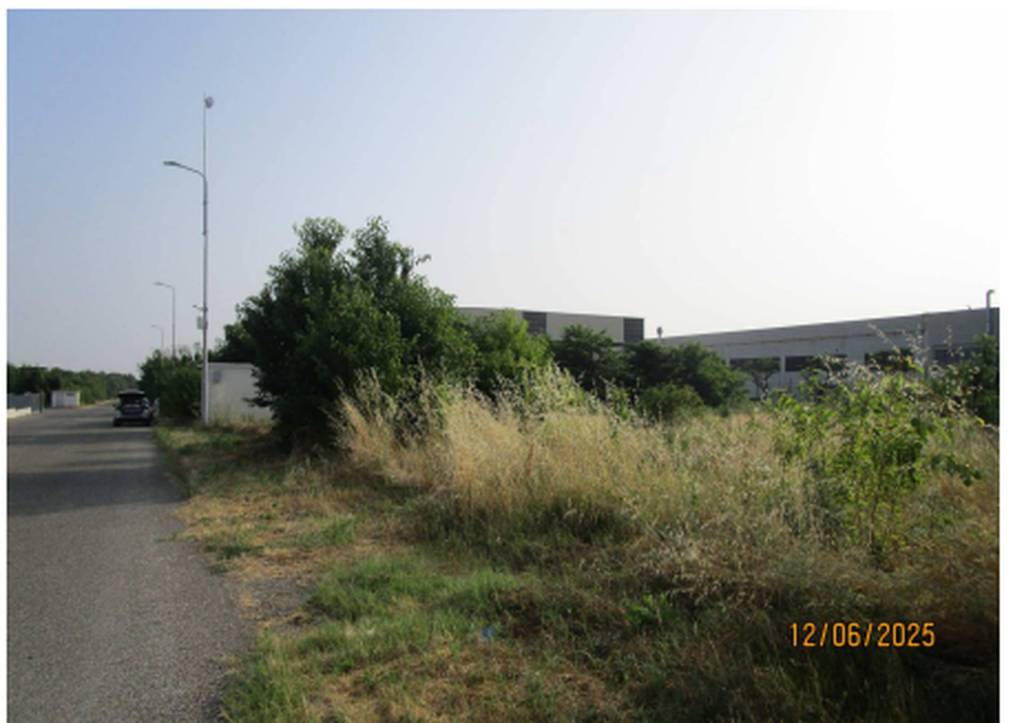 immagine annuncio 3 di 12