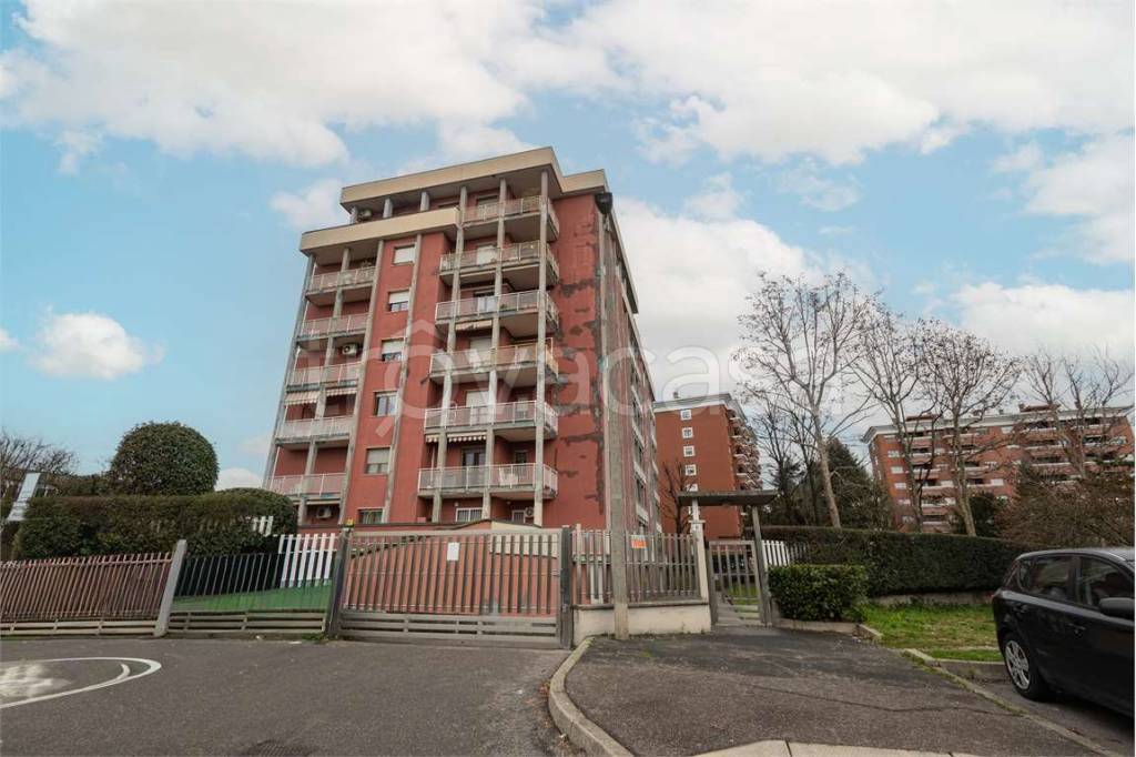 immagine annuncio 5 di 15