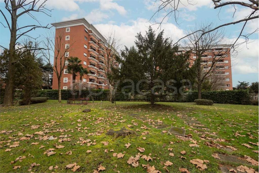 immagine annuncio 6 di 15