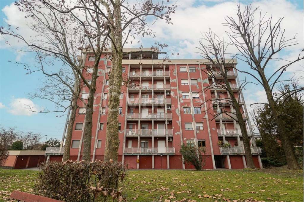 immagine annuncio 7 di 15