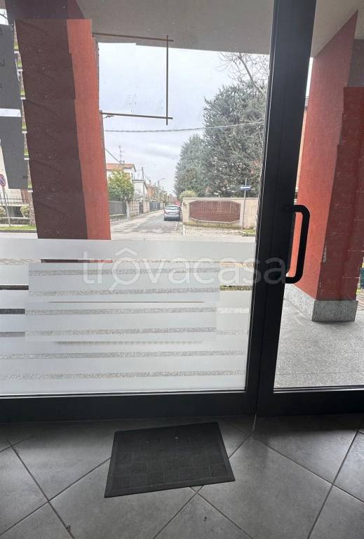 immagine annuncio 4 di 8