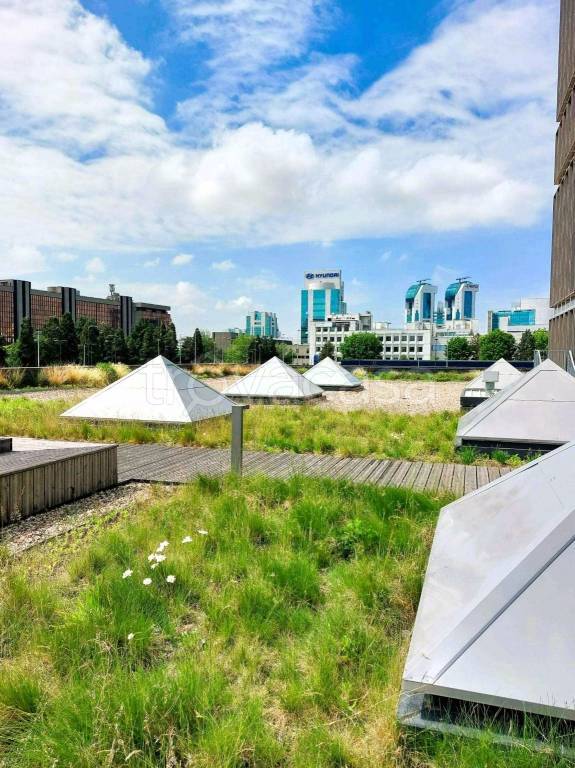 immagine annuncio 3 di 8