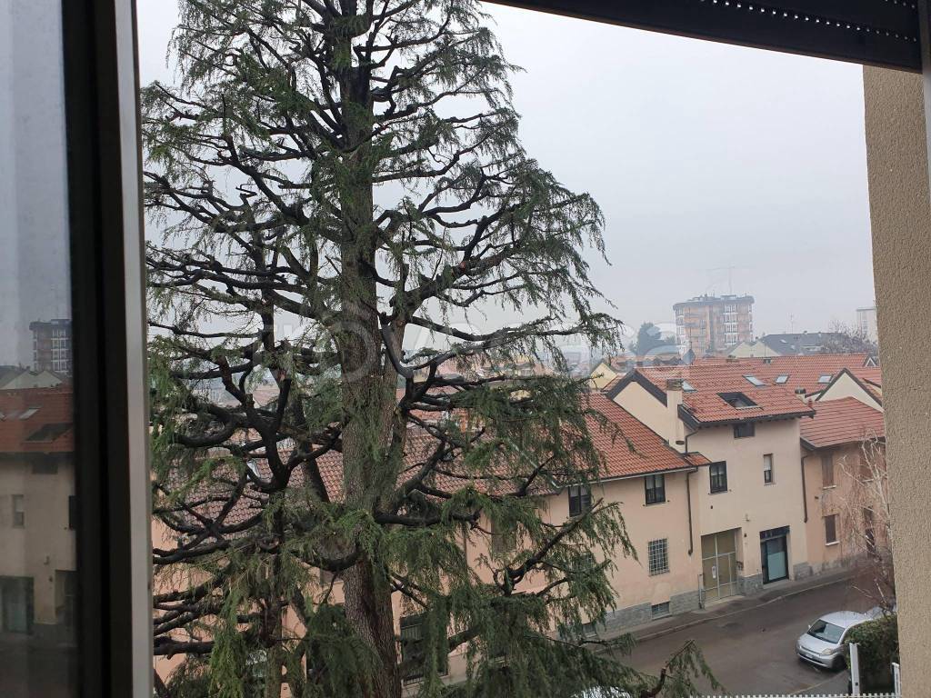 immagine annuncio 10 di 13