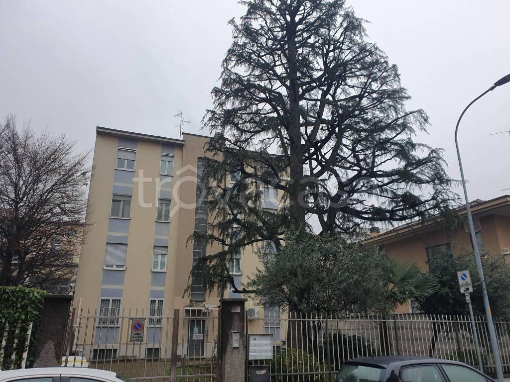 immagine annuncio 11 di 13