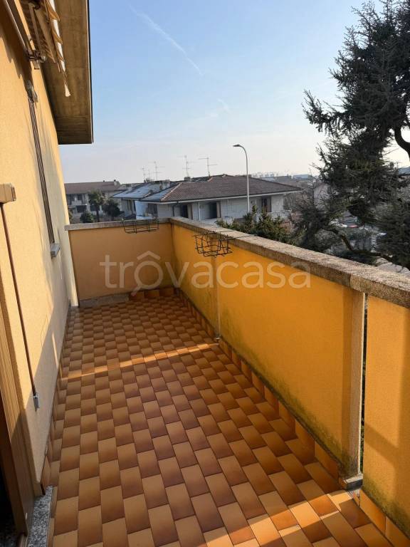 immagine annuncio 10 di 15