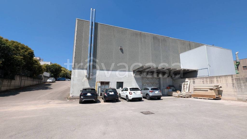 immagine annuncio 1 di 8