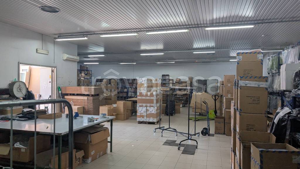 immagine annuncio 4 di 8