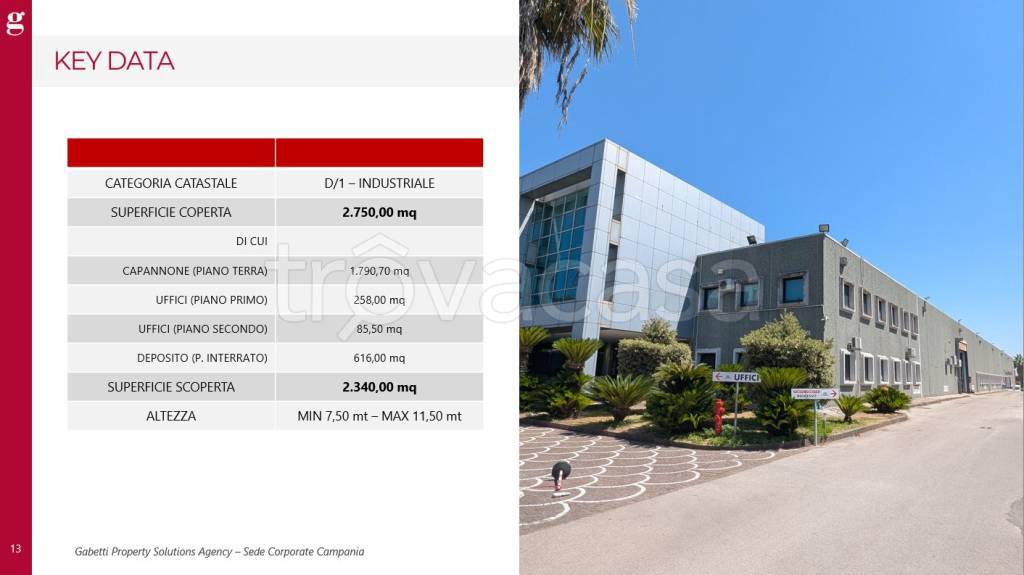 immagine annuncio 7 di 8