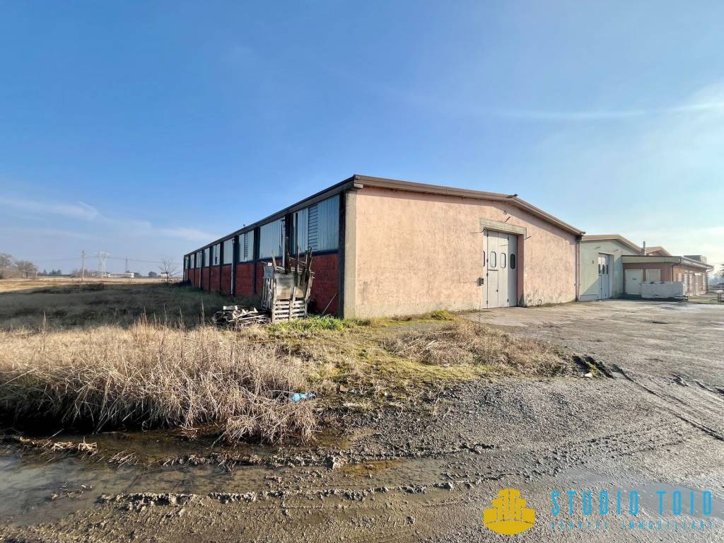 immagine annuncio 1 di 15