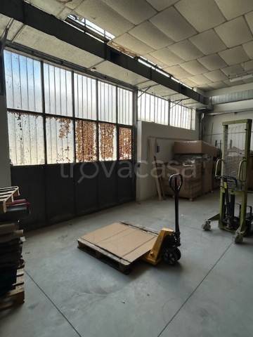 immagine annuncio 2 di 8