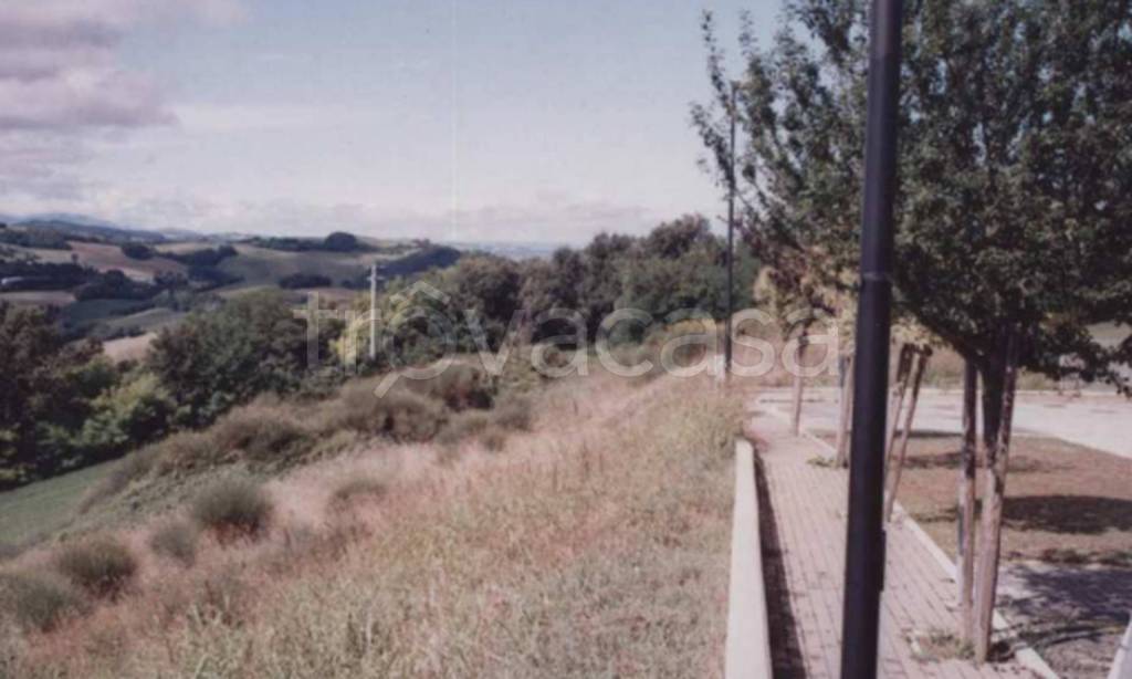 immagine annuncio 4 di 9