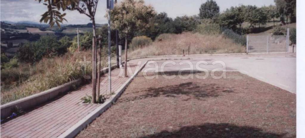 immagine annuncio 5 di 9