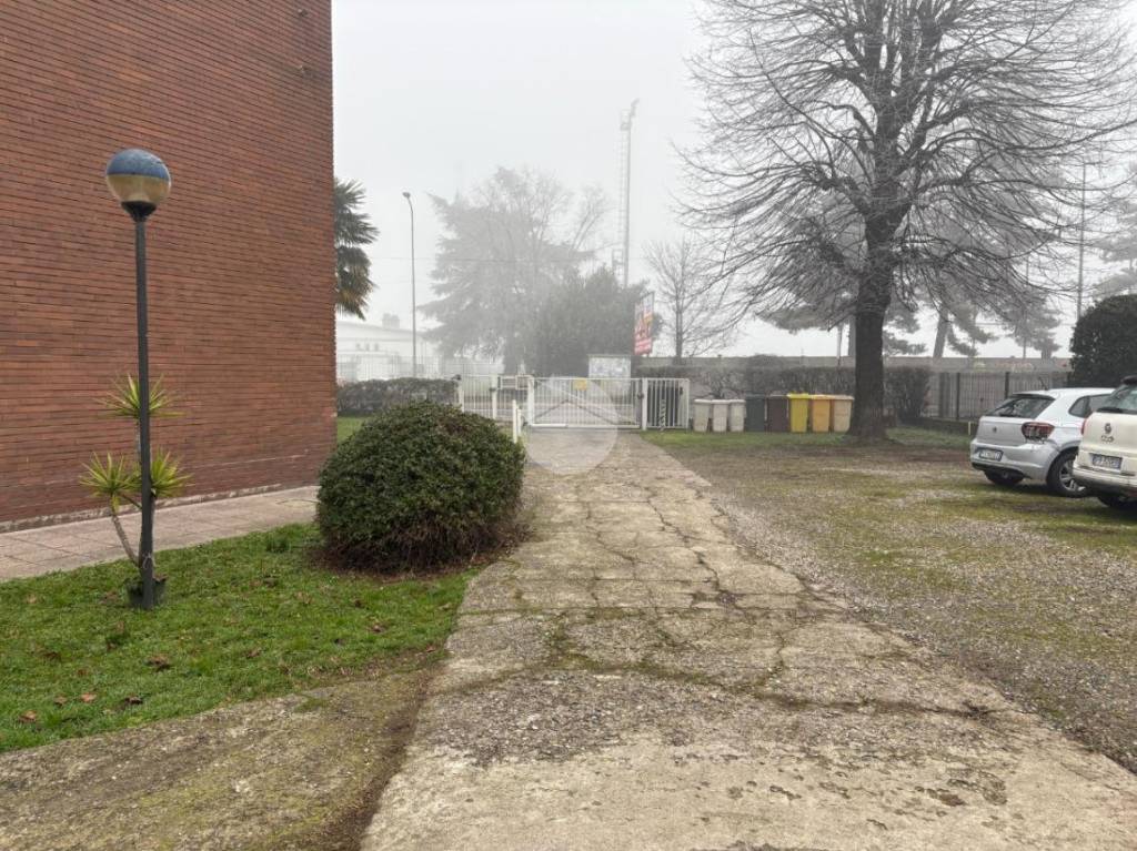 immagine annuncio 1 di 7