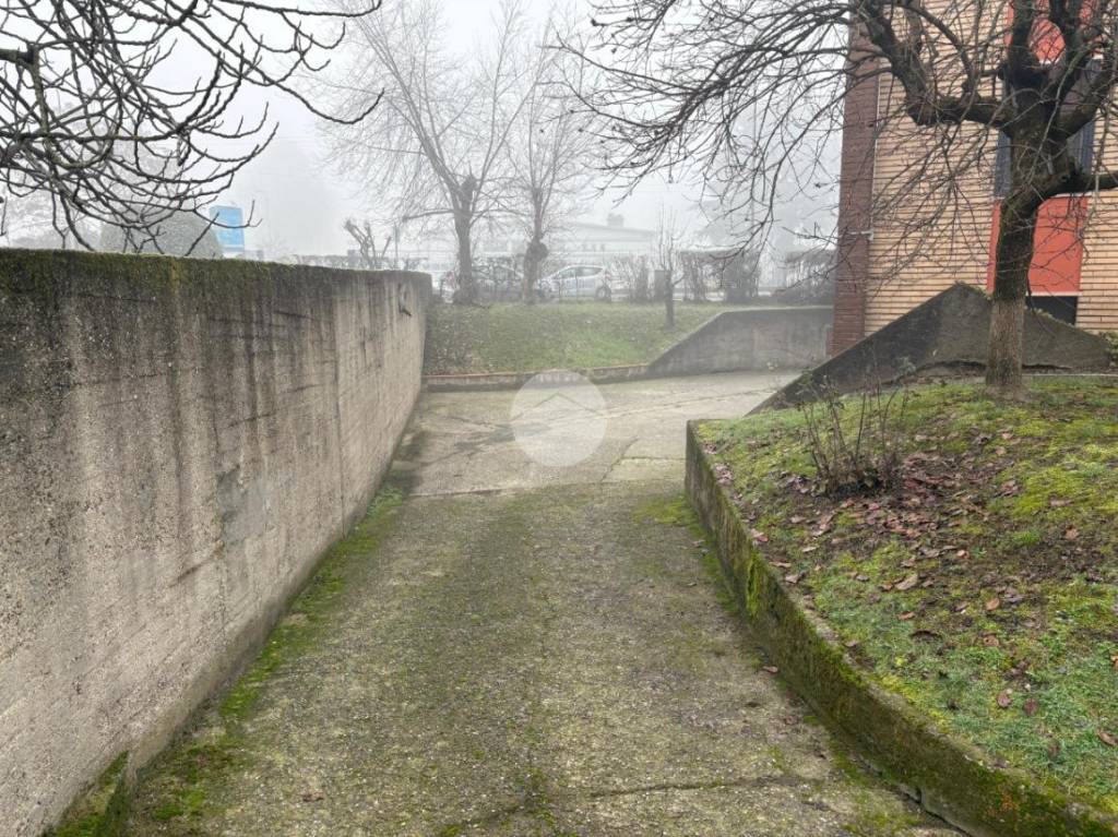 immagine annuncio 3 di 7