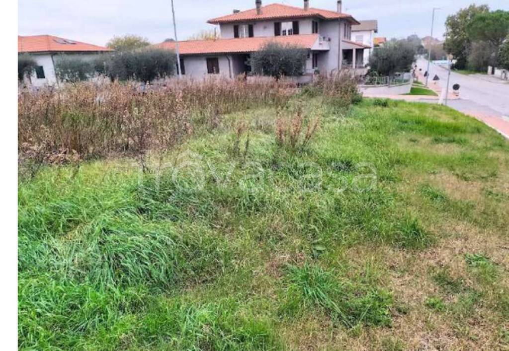 immagine annuncio 8 di 11