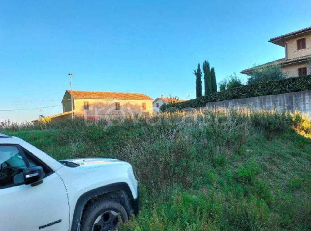 immagine annuncio 9 di 11