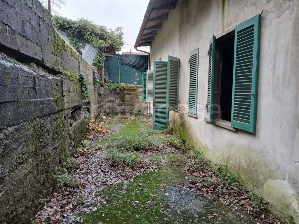 immagine annuncio 9 di 12