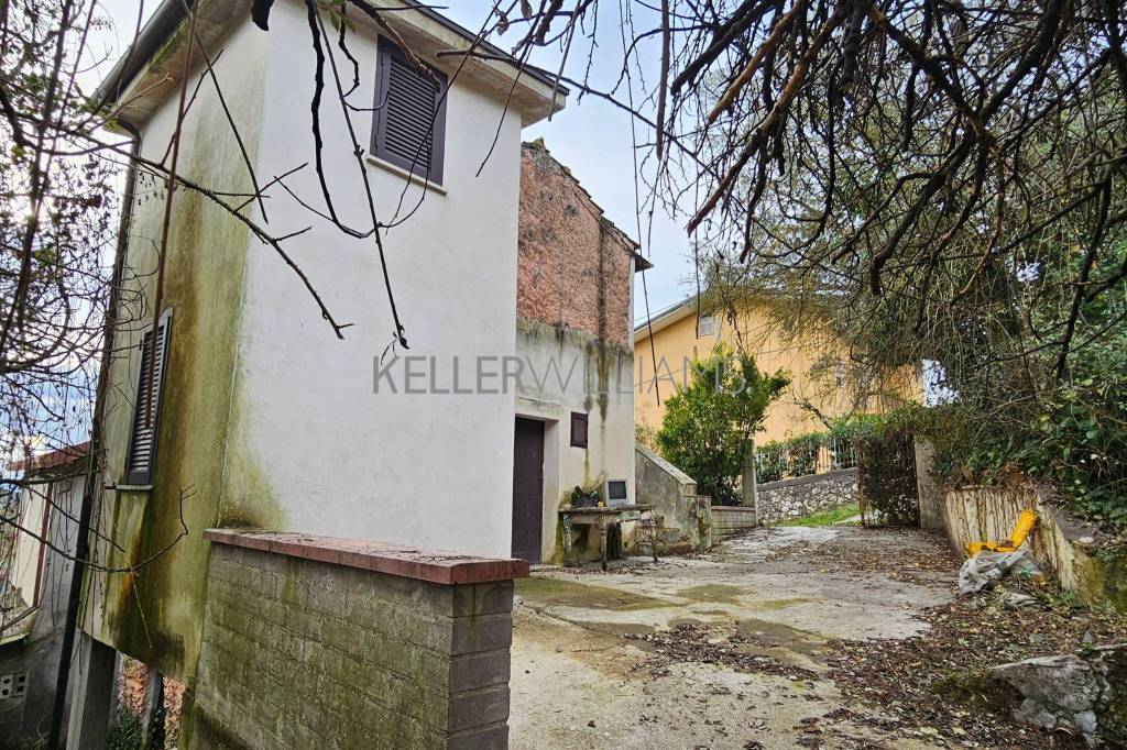 immagine annuncio 4 di 12