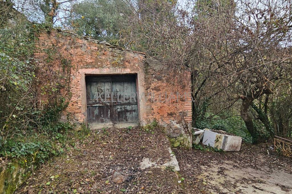 immagine annuncio 8 di 12