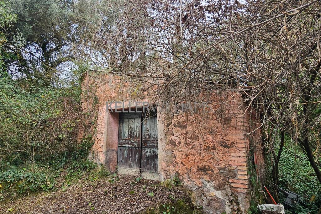 immagine annuncio 9 di 12