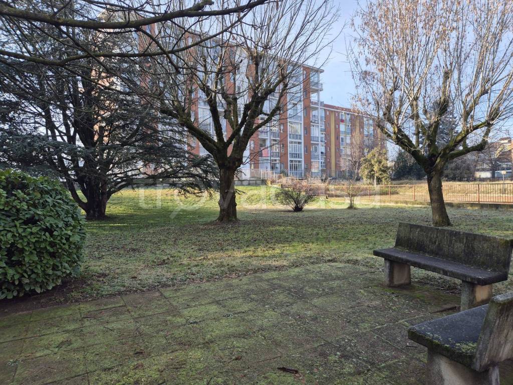 immagine annuncio 5 di 15