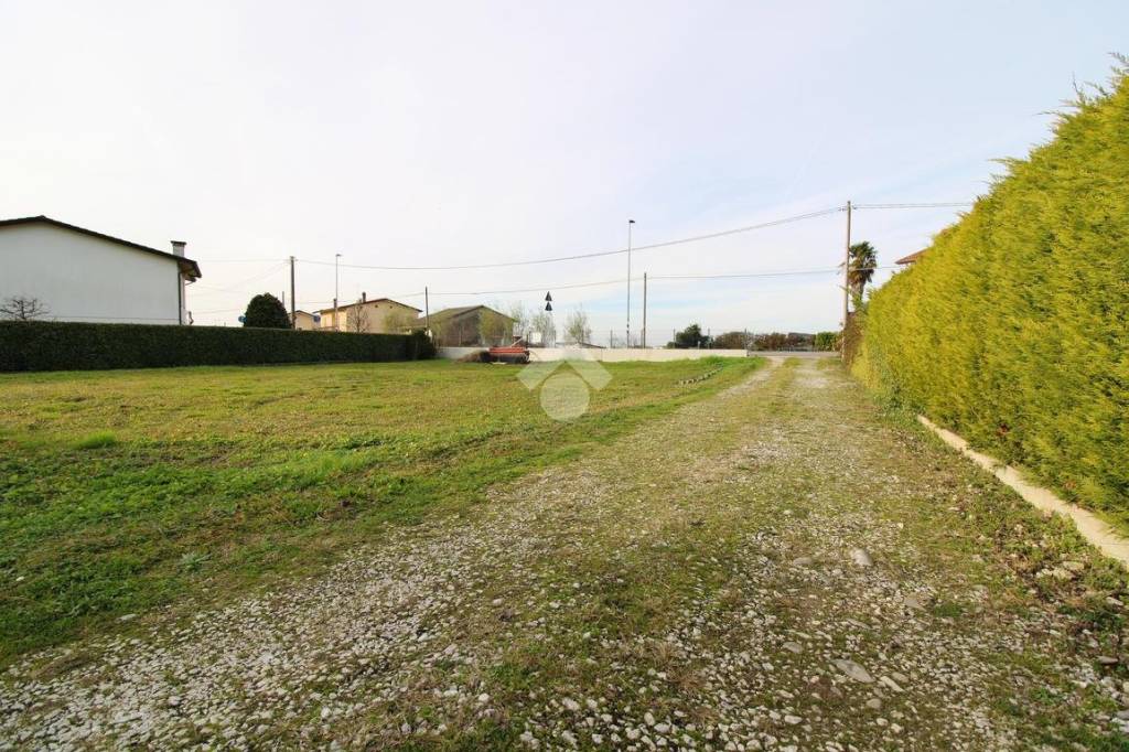 immagine annuncio 4 di 8