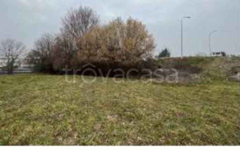 immagine annuncio 5 di 9