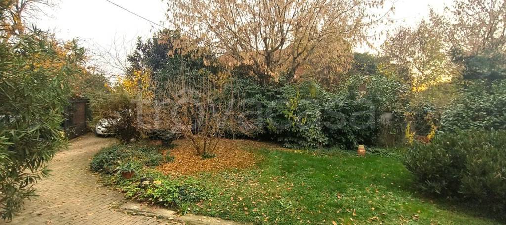 immagine annuncio 3 di 9