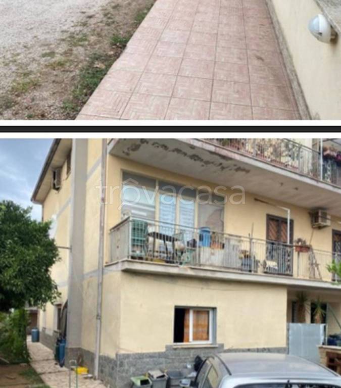 immagine annuncio 9 di 12